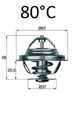 Thermostat 80°C